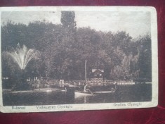 C.P. circ.-Buc.-Gradina Cismegiu-RARA