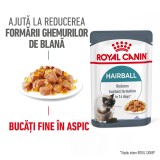 Royal Canin Hairball Care Adult hrana uscata pisica, limitarea ghemurilor de blana, 2 kg