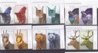 FAUNA PROTEJATA DIN ROMANIA,SERIE CU VINIETA,2019,Lp.2237, MNH ** ROMANIA . foto