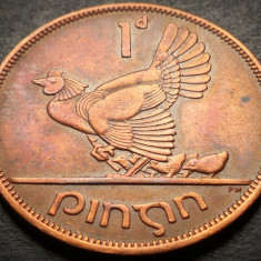 Moneda 1 PENNY / PINGIN - IRLANDA, anul 1965 * cod 4457