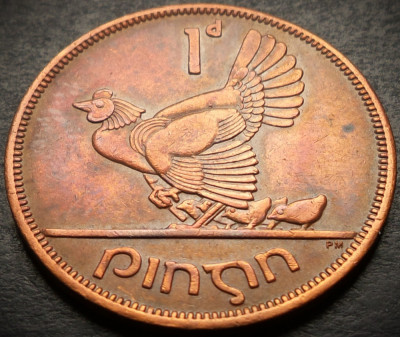 Moneda 1 PENNY / PINGIN - IRLANDA, anul 1965 * cod 4457 foto