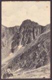 2857 - Fagaras, GARBOVA Mountain, Romania - old postcard - unused - S.K.V. 1911, Necirculata, Printata