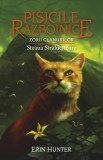 Pisicile razboinice Vol. 28. Zorii Clanurilor: Steaua Stralucitoare - Editura Grupul All