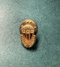 Insigna parasutist militar brevetat Romania perioada RSR varianta miniatura