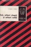 Osii, arbori drepti si arbori cotiti
