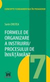 Formele de organizare a instruirii/ Procesului de &icirc;nvățăm&acirc;nt (Vol. 7) - Paperback brosat - Sorin Cristea - Didactica Publishing House