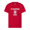 Bayern München tricou de copii 1900 red - 122/128