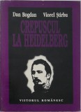Crepuscul la Heidelberg - Dan Bogdan, Viorel Stirbu - Carte