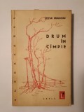 Ștefan Bănulescu - Drum &icirc;n c&icirc;mpie (Drum &icirc;n c&acirc;mpie) (1960)