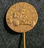Insigna Pegas Arad FRAK casa pionierilor si soimilor patriei Arad