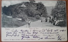 Carte postala, Sinaia vedere din parc, inceput de secol XX