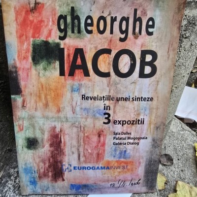 Revelatiile unei sinteze in 3 expozitii - Gheorghe Iacob foto