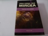 Floarea de loldilal - Veronica Mircea