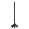 Supapa admisie Hyundai Accent II, Elantra III, Getz, Grandeur, Highway, I30; Kia Carens II, Carens III, Cee&amp;#39; D, Cee&amp;#39; D Sw, Cerato I,