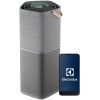 Purificator de aer Electrolux EPO60771UG seria 600, CADR 700 mc/h, Ionizare, 5 trepte de purificare cu filtru HEPA 13 si carbon activ, Filtrare antivi