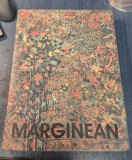 Viorel Marginean Pictura Desen Obiect