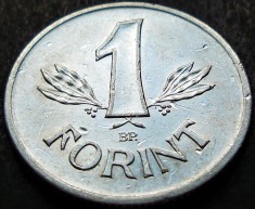 Moneda 1 FORINT - RP UNGARA / UNGARIA, anul 1981 * cod 1662