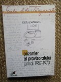 Radu Petrescu - Prizonier al provizoratului, jurnal 1957-1970