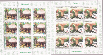 ROMANIA 2008 CIUPERCI Set 6 minicoli cu cate 9 timbre LP.1792a MNH** foto