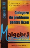 CULEGERE DE PROBLEME PENTRU LICEU ALGEBRA CLASELE IX-XII-C. NASTASESCU, M. BRANDIBURU, C. NITA, D. JOITA-267799