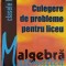 CULEGERE DE PROBLEME PENTRU LICEU ALGEBRA CLASELE IX-XII-C. NASTASESCU, M. BRANDIBURU, C. NITA, D. JOITA-267799