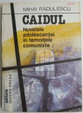 Caidul. Nuvelele adolescentei in temnitele comuniste &ndash; Mihai Radulescu - Roman