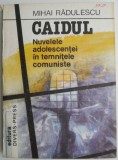 Caidul. Nuvelele adolescentei in temnitele comuniste &ndash; Mihai Radulescu