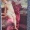 TITIAN_album pictura_colectia pictori celebri_ de Venera Radulescu