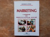 Marketing , O abordare din perspectiva financiar-bancara - Gheorghe Pistol