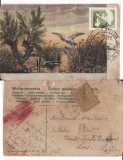 Ilustrata peisaj, egrete - maxima, Circulata, Printata