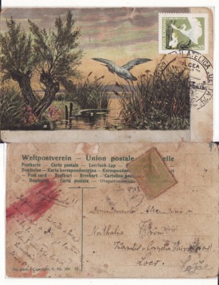 Ilustrata peisaj, egrete - maxima foto