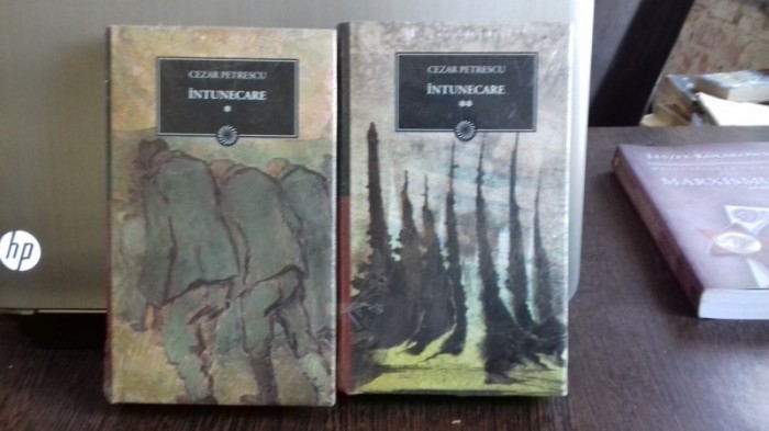 INTUNECARE - CEZAR PETRESCU 2 VOLUME