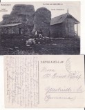 Bucegi, Varful Omul -Granita, vama, Babele-rara