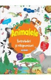 Intrebari si raspunsuri: Animale