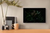 Tablou Canvas, "Frunzele tainice din umbra pădurii", Frunziș, &Icirc;ntuneric, Mister, Delicatețe, Natură, Contrast, Frumusețe, Verde, Subtilitate, Umbră, 3