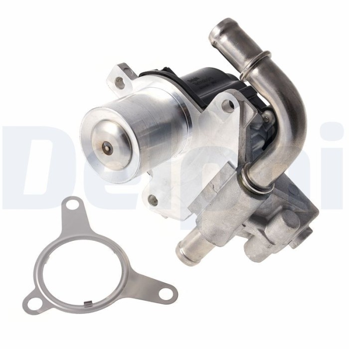DELPHI EG10493-12B1 Supapa EGR
