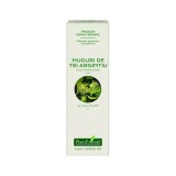 Extract concentrat din muguri de tei argintiu, 15ml, PlantExtrakt