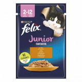 Cumpara ieftin Felix Fantastic Junior, Pui, 85 g, Purina