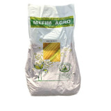 Seminte porumb dulce zaharat netratat Golden Bantam 5 kg, Mefim Agro