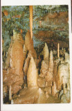 FA53-Carte Postala- SLOVENIA - Postojna Cave Park, necirculata 1968, Fotografie