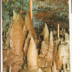 FA53-Carte Postala- SLOVENIA - Postojna Cave Park, necirculata 1968