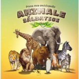 Animale salbatice. Prima mea enciclopedie - Aquila