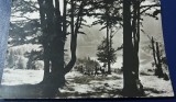 QW23 B - Carte postala - tematica turism - vedere - Romania - Baile Tusnad 11, Circulata, Fotografie