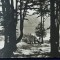 QW23 B - Carte postala - tematica turism - vedere - Romania - Baile Tusnad 11