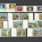 ZIMBABWE 1980 DEFINITIVE UZUALE ANIMALE SALBATICE CASCADE DIAMANTE
