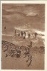 AMS# - ILUSTRATA/VEDERE - VASILE ROAITA - COLONIE DE COPII RPR SEPIA NECIRCULATA, Fotografie