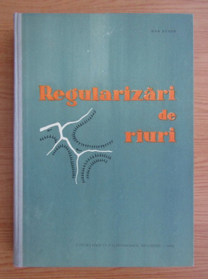 Dan Eugen - Regularizari de riuri foto