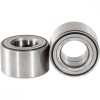 Kit Rulmenti Roata Spate Polaris PWRWKP10000VP, Pivot Works, Rulmenti Dublu Etansati