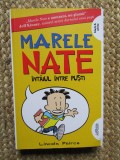 Marele Nate.Intaiul intre pusti de Lincoln Peirce