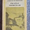 PACATELE TINERETELOR - CONSTANTIN NEGRUZZI, 1986, 384 pagini, stare buna